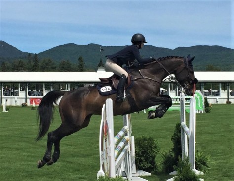 Horse airborne at the Lake Placid Horse Show