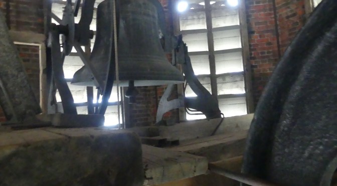 A Fun-filled Summer!